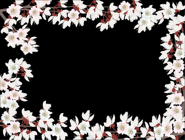 블랙에 고립 된 벚나무 꽃 프레임 — 스톡 벡터
