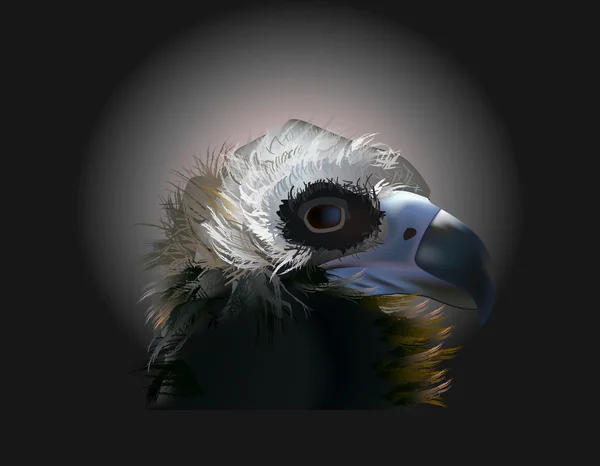 Adler-Porträt auf dunklem Hintergrund — Stockvektor