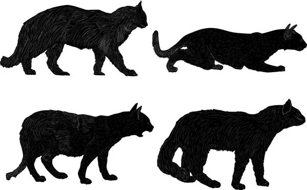 Four black isolated cats collection — Stock Vector