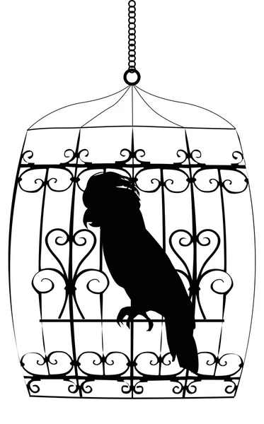 Large parrot in cage on white — Stock Vector