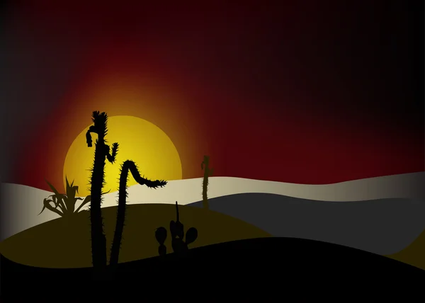 Táj kaktusz naplementekor — Stock Vector