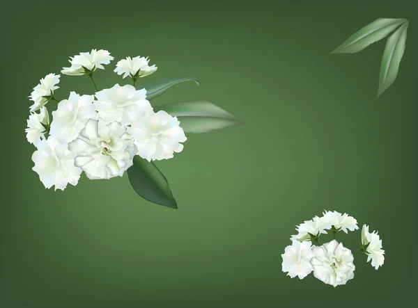 Pequeñas flores blancas sobre fondo verde — Vector de stock