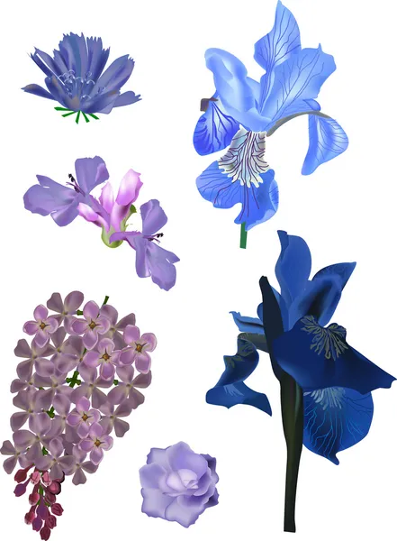 Ensemble de six fleurs bleues isolées — Image vectorielle