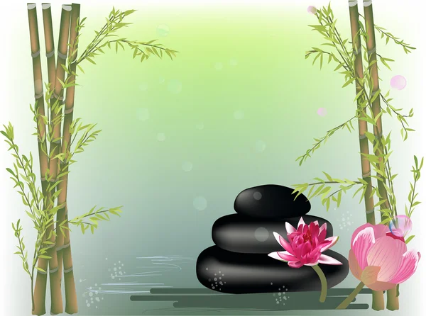 Fleurs de lys près de bambou et pierres — Image vectorielle