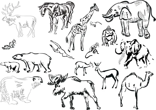 Colección de bocetos de animales aislados — Vector de stock
