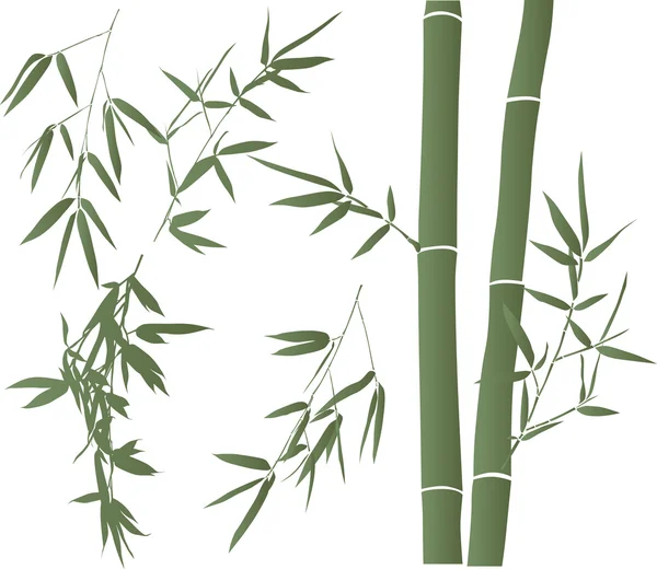 Illustration verte avec collection de branches de bambou — Image vectorielle