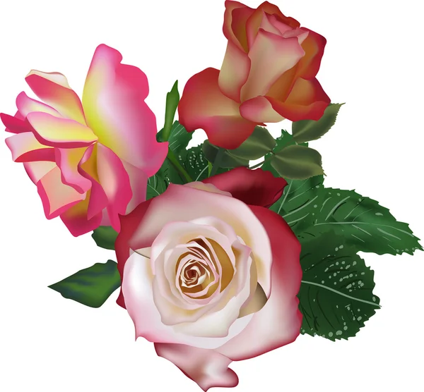 Ramo con tres rosas rosadas aisladas en blanco — Vector de stock