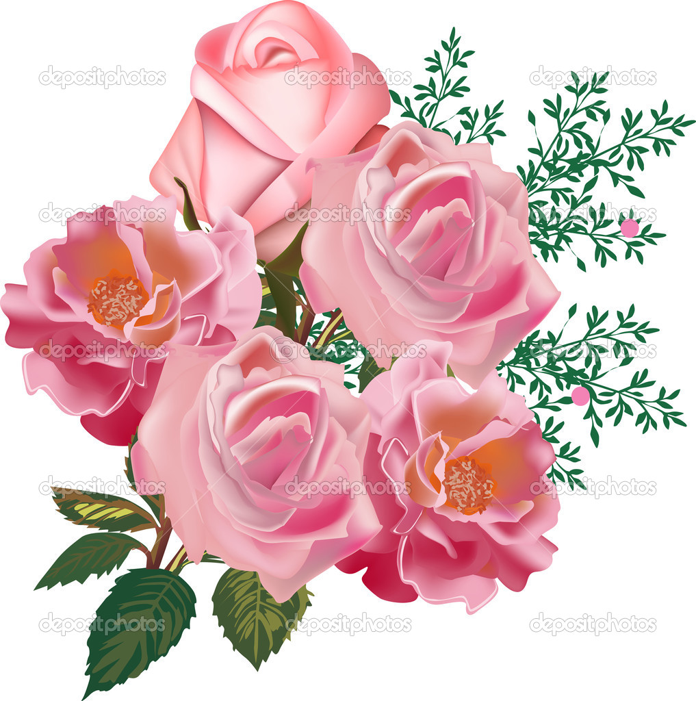 five pink roses isolated on white background