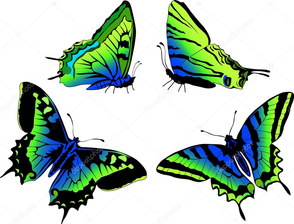 four green and blue butterflies