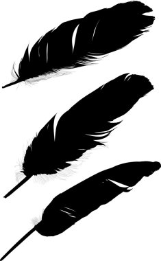 groep van drie zwarte veren silhouetten