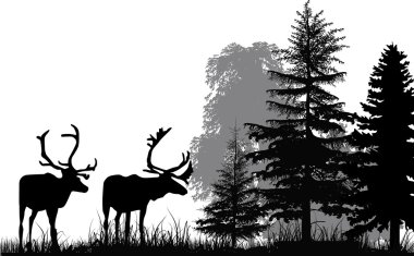 Deer silhouettes in forest clipart