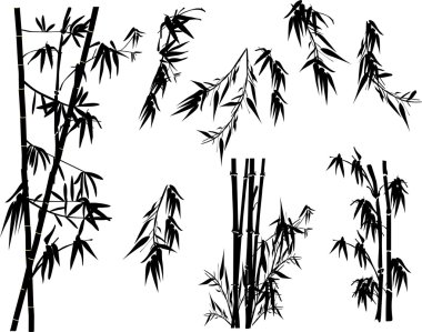 izole siyah bambu bitki koleksiyonu