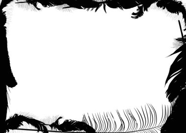 izole beyaz zemin üzerine siyah tüy çerçeve