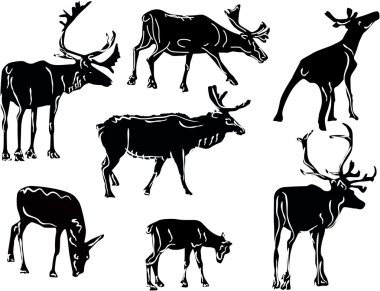 beyaz üzerine sekiz geyik siluetleri