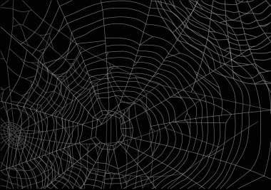 ışık webs arka plan