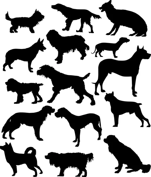 Пятнадцать собачьих силуэтов, изолированных на белом — стоковый вектор