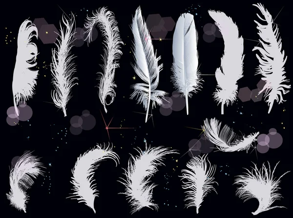 Grey feathers collection — Stock Vector