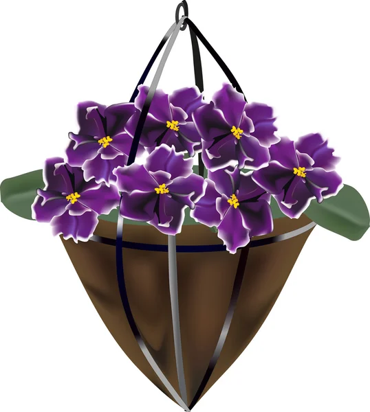 Dark violet flowers in flowerpot — Stock Vector