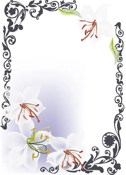 Grey frame with white lilies — Stock Vector