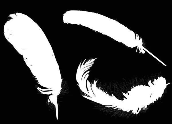 Isolerad på svart tre vita fjädrar — Stock vektor