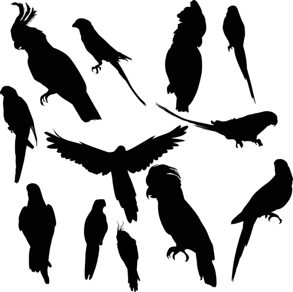 Tolv papegoja silhuetter samling — Stock vektor