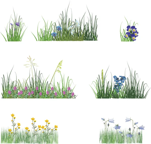 Different flowers in grass isolated on white — Stock Vector