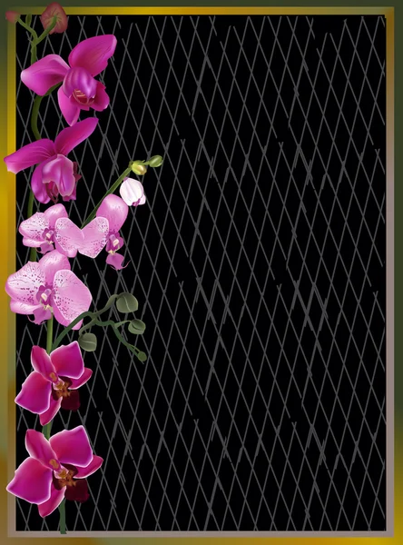 在深色背景上的粉色兰花条纹 — 图库矢量图片