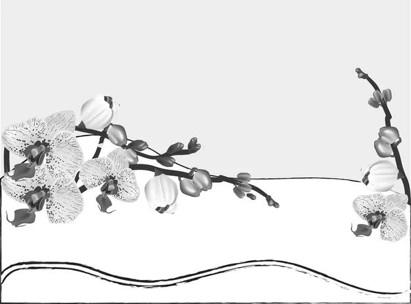 Ілюстрація сірих квітів орхідей — стоковий вектор