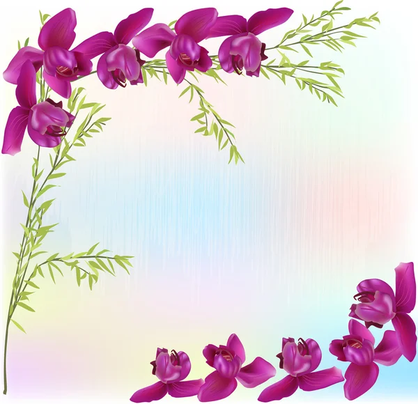 Moldura rosa escura das flores do orchid —  Vetores de Stock