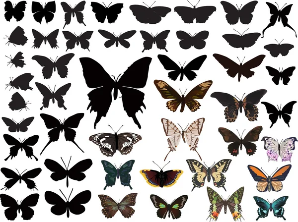 Coleção de borboletas de cor e preto no branco — Vetor de Stock