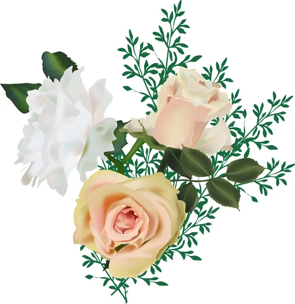 Elszigetelt fehér bouquet, három könnyű Rózsa — Stock Vector