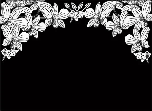 Vita orkidéer halv ram på svart bakgrund — Stock vektor