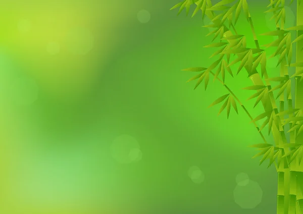 Bambú sobre fondo verde — Archivo Imágenes Vectoriales