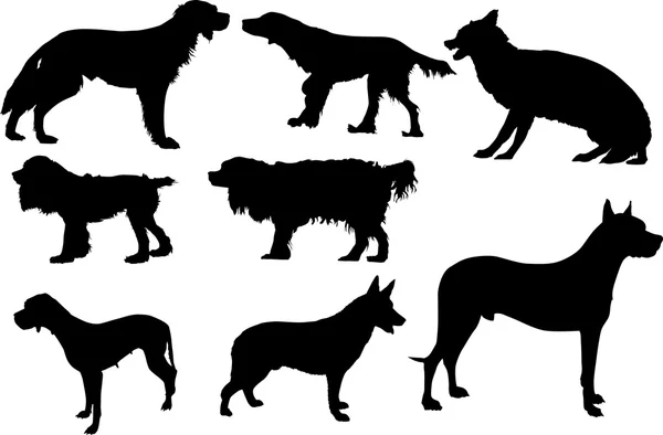 Set of eight isolated dogs — Stock Vector