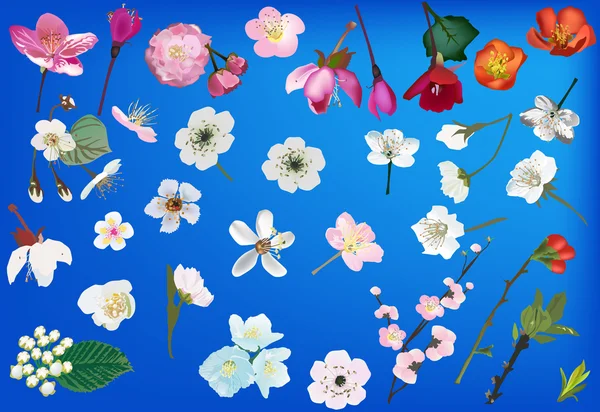 Ilustração com coleção de flores de primavera — Vetor de Stock