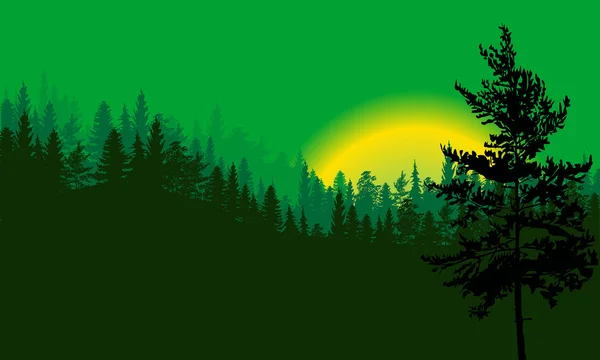 绿色的森林和红黑树图 — 图库矢量图片
