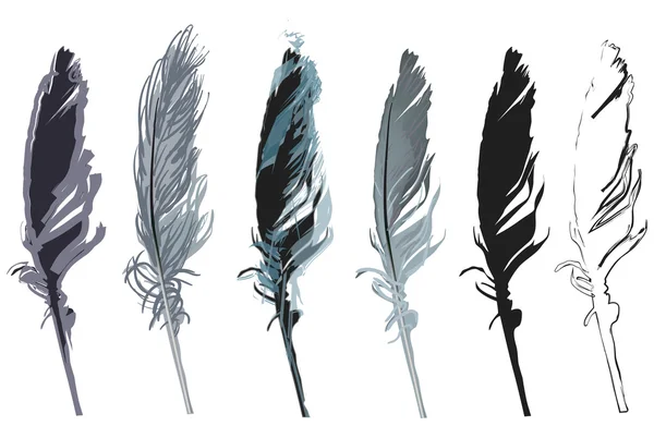 Six plumes — Image vectorielle