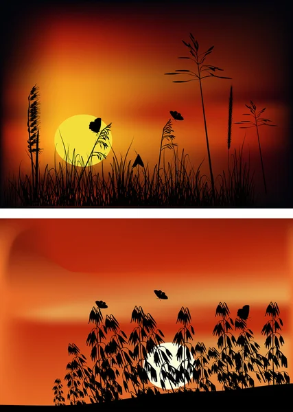 Gün batımında butteflies ile iki kompozisyon — Stok Vektör