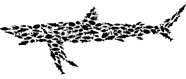 Komplexa haj isolerad på vit — Stock vektor