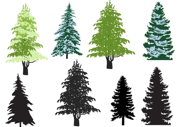 Eight firs isolated on white — Stock Vector