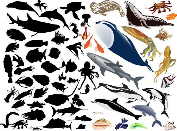 Large collection of sea animals — Stock Vector