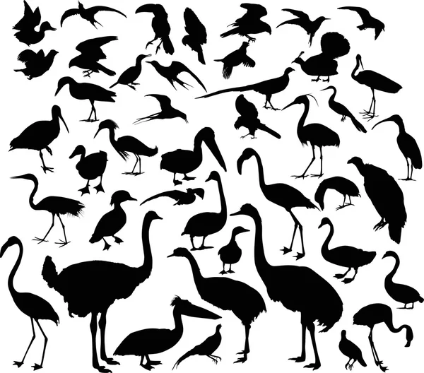 Large set of black bird silhouettes on white — Stock Vector