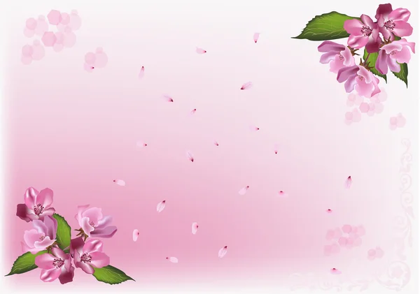 アップル ツリーの花と花びらのイラスト — ストックベクタ