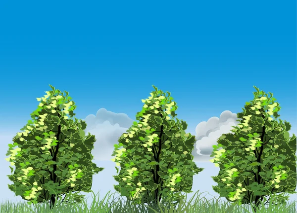 Grüne Bäume im Gras und Wolken am blauen Himmel — Stockvektor