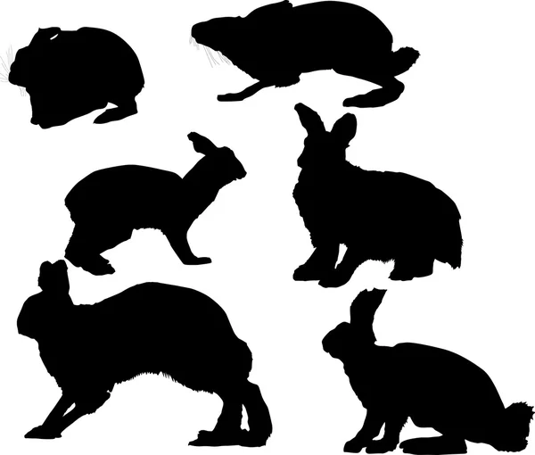 Six hare silhouettes collection isolated on white — Stock Vector