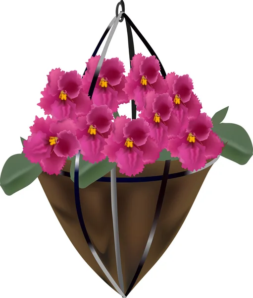 Ciemno różowe kwiaty fioletowe w torbie — Wektor stockowy