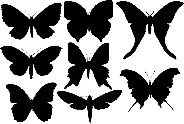 Set om åtta butterfly wings former — Stock vektor