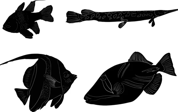Kümesi üzerinde beyaz izole dört balık sketchs — Stok Vektör