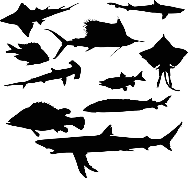 Collection de dix silhouettes de poissons isolées sur blanc — Image vectorielle