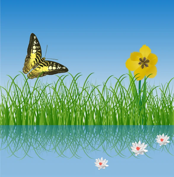 Yellow butterfly above green grass with reflection — Stock Vector